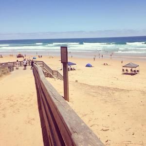 Meet your Posher, Avril